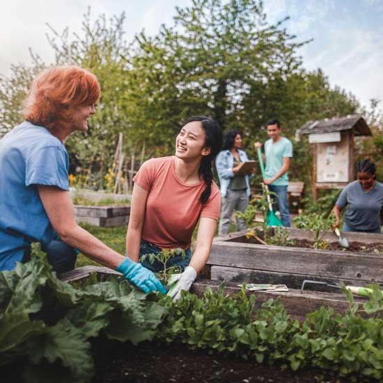Six people working in a community garden center as volunteers. 