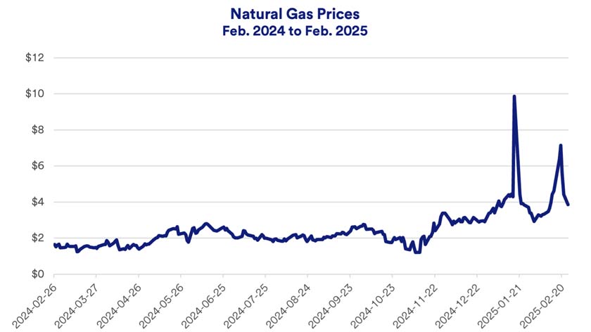 Chart depicts global natural gas prices: February 2024 - February 2025.