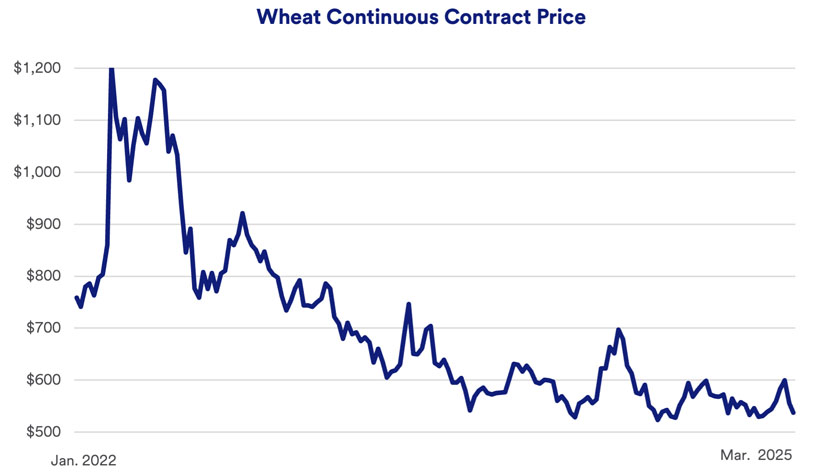 Chart depicts wheat prices on the Chicago Board of Trade between January 2022 - March 4, 2025.