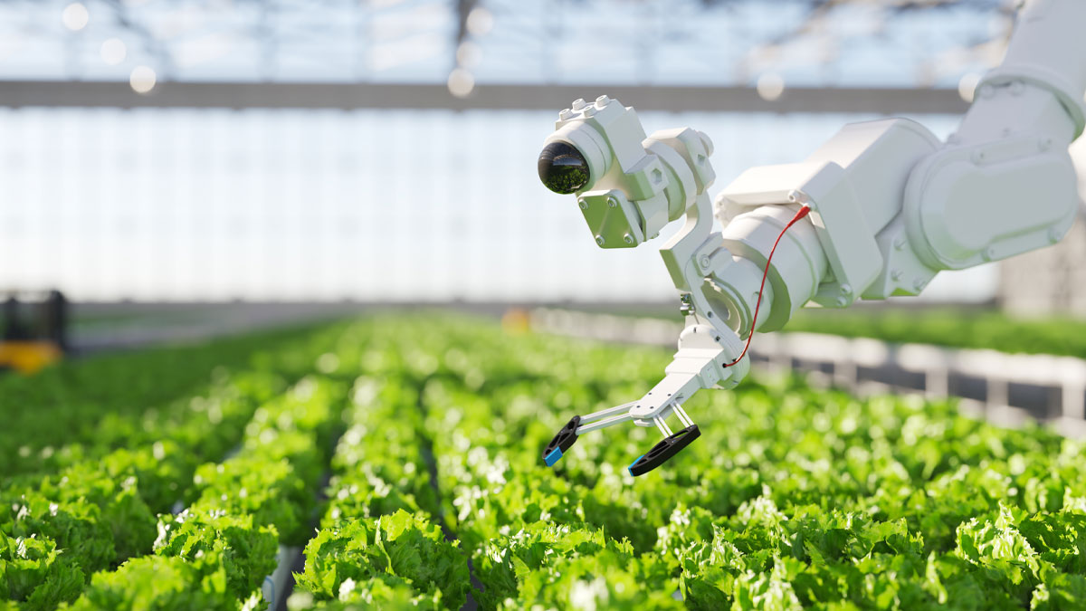 Hydroponic technology